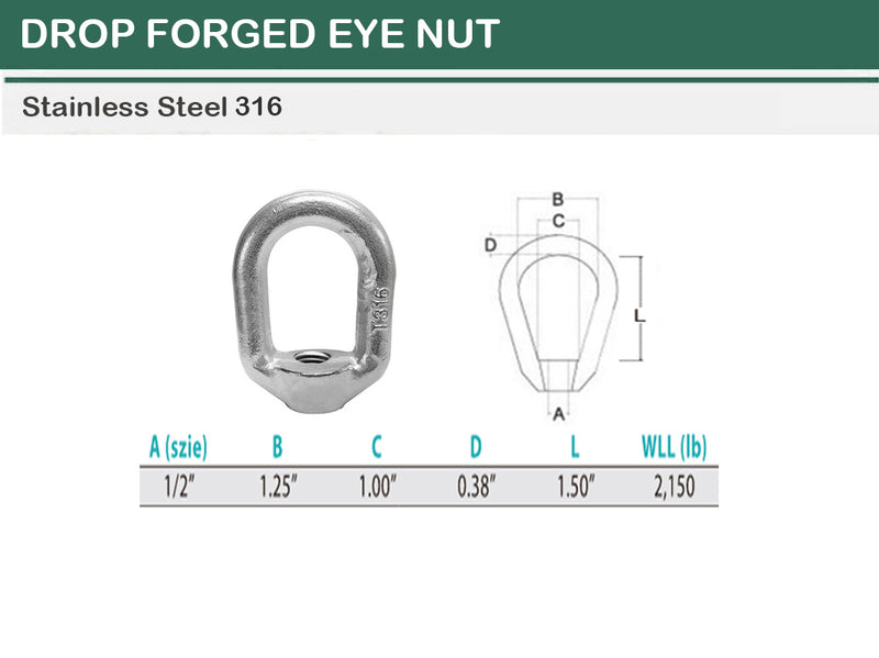 Stainless Steel T316 Forged Style Lifting Eye Nut 1/4", 5/16", 3/8", 1/2", 5/8", 3/4"