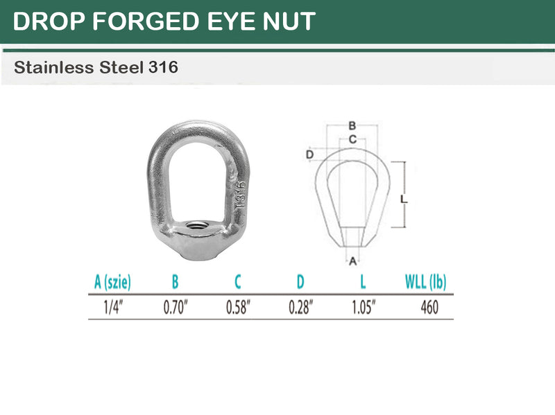 Stainless Steel T316 Forged Style Lifting Eye Nut 1/4", 5/16", 3/8", 1/2", 5/8", 3/4"