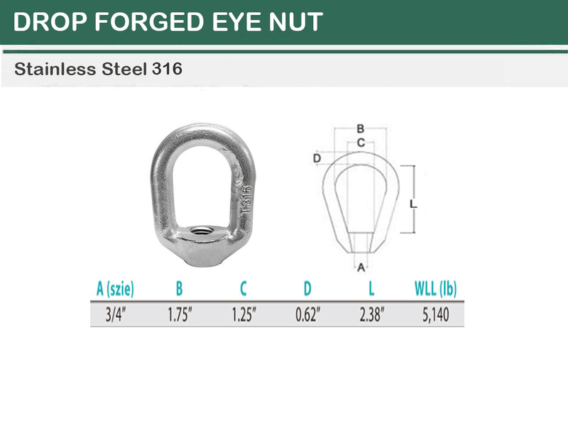 Stainless Steel T316 Forged Style Lifting Eye Nut 1/4", 5/16", 3/8", 1/2", 5/8", 3/4"