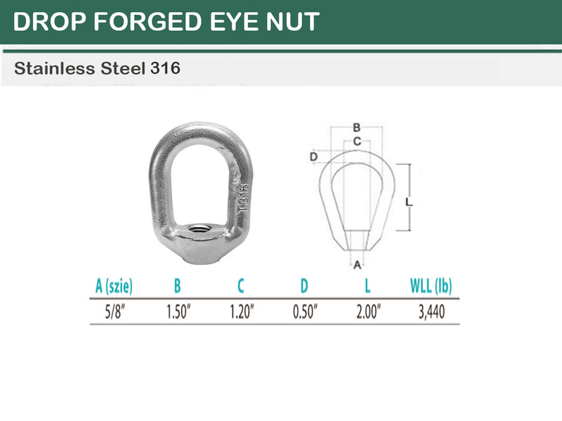 Stainless Steel T316 Forged Style Lifting Eye Nut 1/4", 5/16", 3/8", 1/2", 5/8", 3/4"