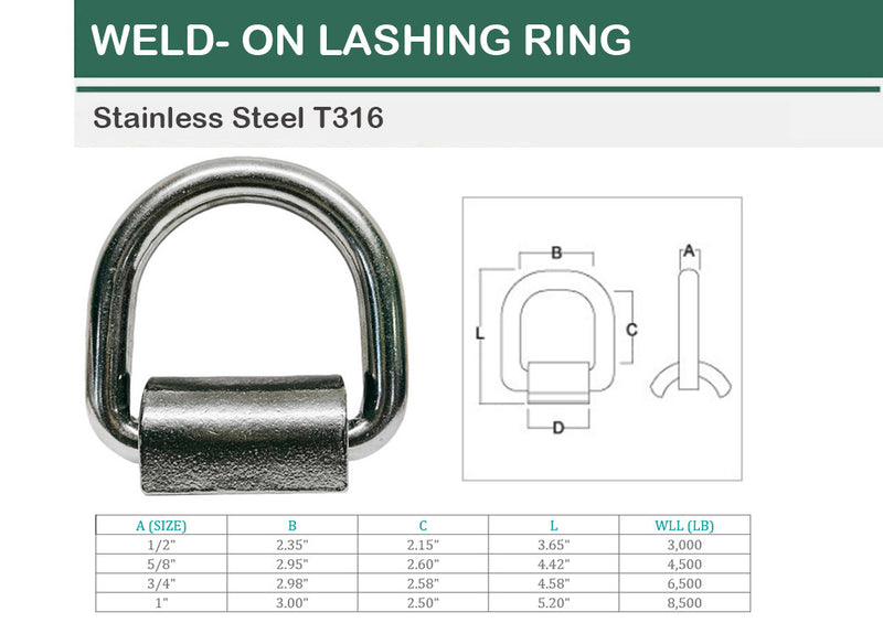 Stainless Steel T316 Weld-On Lashing Ring D-Ring Marine Boat Anchor Ring