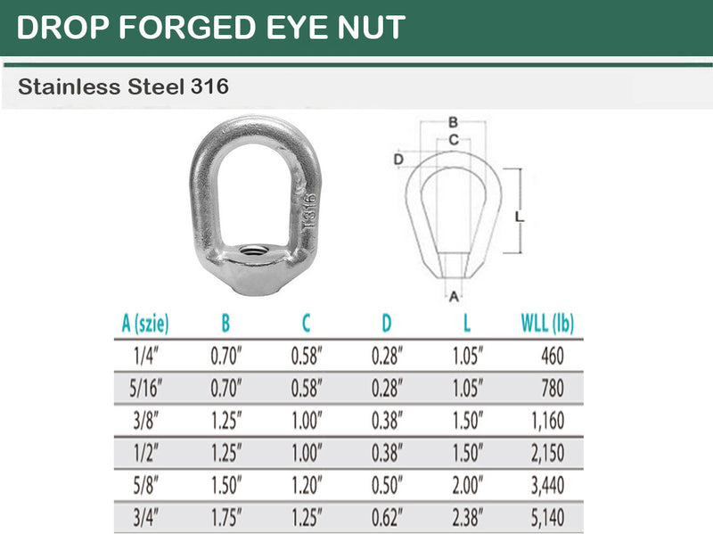 Stainless Steel T316 Forged Style Lifting Eye Nut 1/4", 5/16", 3/8", 1/2", 5/8", 3/4"