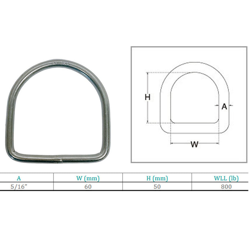 Marine Boat Stainless Steel D-Ring D Ring Yacht Sailing hardware